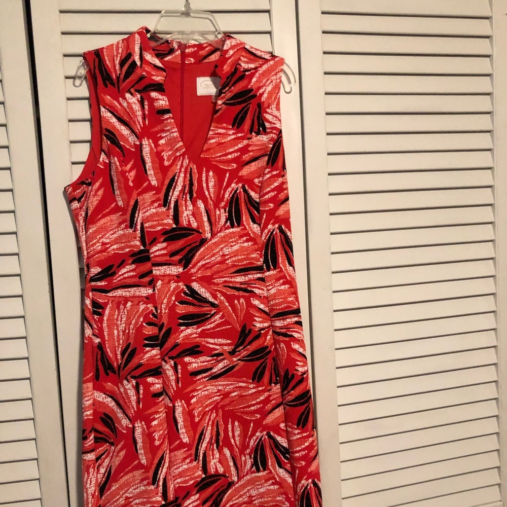 Pappagallo formal dress. Size 4 gently used.